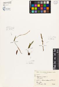 SW_BNB_s3080-05802_IMG-0000000001