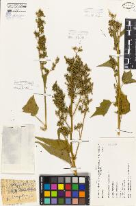 SW_BNB_s3080-05815_IMG-0000000001