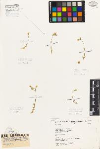 SW_BNB_s3080-05854_IMG-0000000001