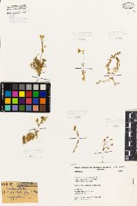 SW_BNB_s3080-05856_IMG-0000000001