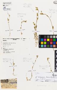 SW_BNB_s3080-05863_IMG-0000000001