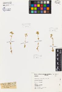 SW_BNB_s3080-05882_IMG-0000000001