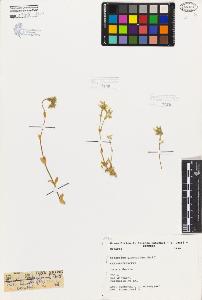 SW_BNB_s3080-05883_IMG-0000000001