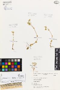 SW_BNB_s3080-05890_IMG-0000000001