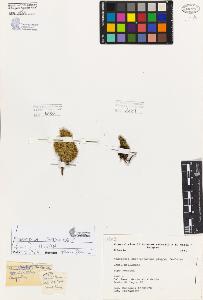 SW_BNB_s3080-05902_IMG-0000000001