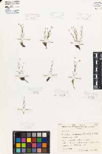 SW_BNB_s3080-05904_IMG-0000000001