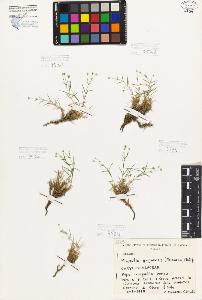 SW_BNB_s3080-05910_IMG-0000000001