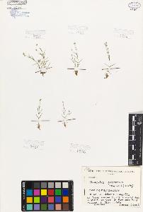SW_BNB_s3080-05916_IMG-0000000001