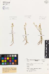 SW_BNB_s3080-05918_IMG-0000000001