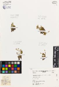 SW_BNB_s3080-05923_IMG-0000000001