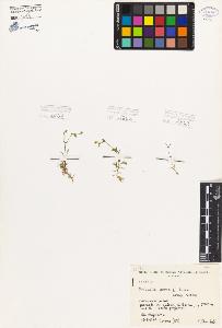 SW_BNB_s3080-05928_IMG-0000000001