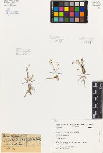 SW_BNB_s3080-05931_IMG-0000000001