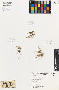SW_BNB_s3080-05934_IMG-0000000001
