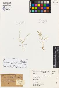 SW_BNB_s3080-05935_IMG-0000000001
