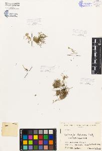 SW_BNB_s3080-05944_IMG-0000000001