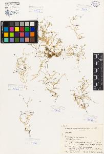 SW_BNB_s3080-05956_IMG-0000000001