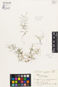 SW_BNB_s3080-05957_IMG-0000000001