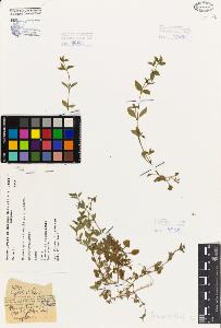 SW_BNB_s3080-05963_IMG-0000000001