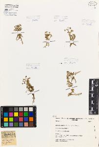 SW_BNB_s3080-05966_IMG-0000000001