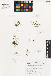 SW_BNB_s3080-06006_IMG-0000000001