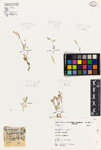 SW_BNB_s3080-06013_IMG-0000000001