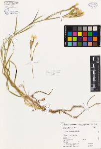 SW_BNB_s3080-06035_IMG-0000000001