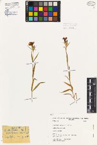 SW_BNB_s3080-06044_IMG-0000000001