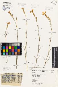 SW_BNB_s3080-06047_IMG-0000000001
