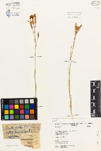 SW_BNB_s3080-06049_IMG-0000000001