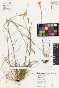 SW_BNB_s3080-06050_IMG-0000000001