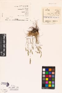 SW_BNB_s3080-06051_IMG-0000000001