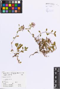 SW_BNB_s3080-06052_IMG-0000000001