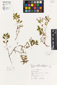 SW_BNB_s3080-06053_IMG-0000000001