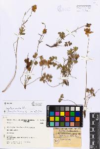 SW_BNB_s3080-06076_IMG-0000000001