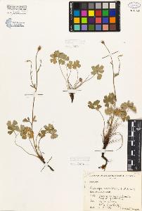 SW_BNB_s3080-06077_IMG-0000000001