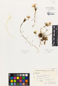 SW_BNB_s3080-06086_IMG-0000000001