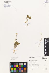 SW_BNB_s3080-06088_IMG-0000000001