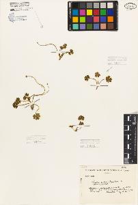 SW_BNB_s3080-06091_IMG-0000000001