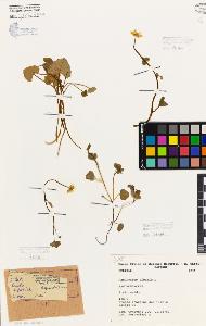 SW_BNB_s3080-06135_IMG-0000000001