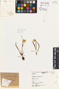 SW_BNB_s3080-06139_IMG-0000000001
