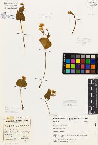 SW_BNB_s3080-06141_IMG-0000000001