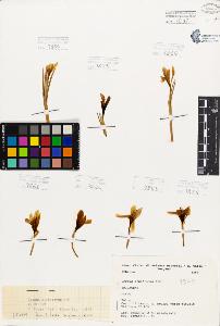 SW_BNB_s3080-06144_IMG-0000000001