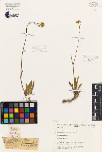 SW_BNB_s3080-06175_IMG-0000000001