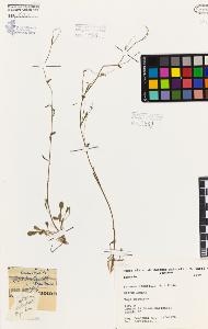 SW_BNB_s3080-06189_IMG-0000000001
