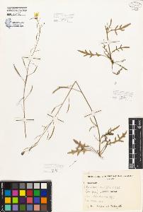 SW_BNB_s3080-06194_IMG-0000000001