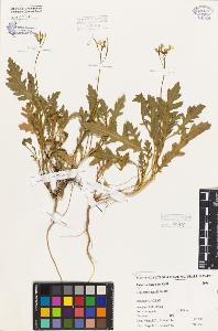 SW_BNB_s3080-06195_IMG-0000000001