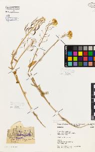 SW_BNB_s3080-06196_IMG-0000000001
