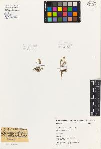 SW_BNB_s3080-06215_IMG-0000000001