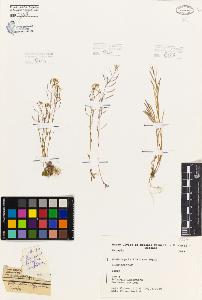 SW_BNB_s3080-06229_IMG-0000000001