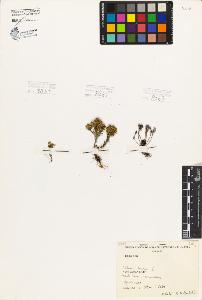 SW_BNB_s3080-06263_IMG-0000000001